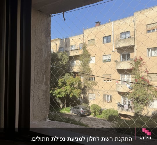 רשת יונים מותקנת על חלון למניעת כניסת יונים